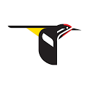 Application gratuite de reconnaissance des oiseaux pour votre Android ou iPhone